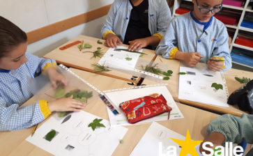 Projecte de les plantes de 2n EP Projecte de les plantes de 2n EP