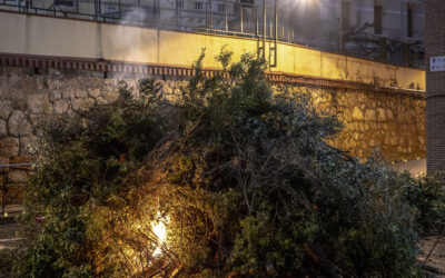 CELEBRACIÓ DE SANT ANTONI A LA SALLE L’ALCORA
